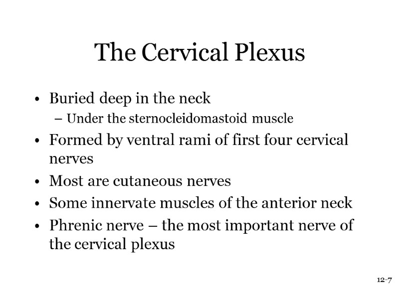 12-7 The Cervical Plexus Buried deep in the neck Under the sternocleidomastoid muscle Formed